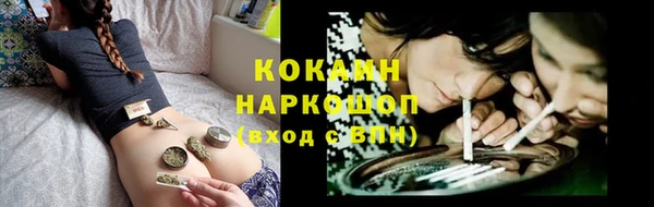 спайс Алзамай