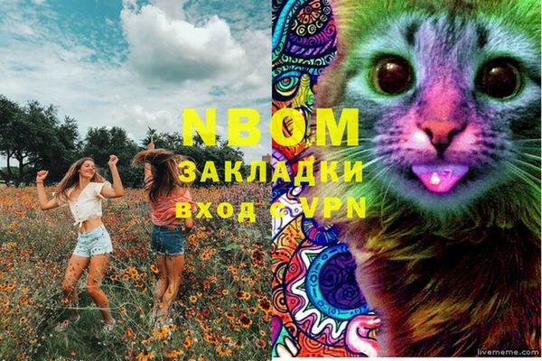 Альфа ПВП Армянск