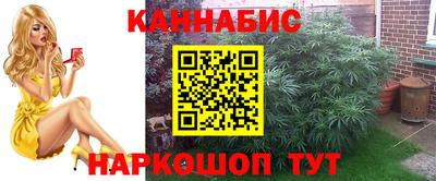 дмт Кингисепп