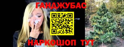 стафф Гагарин