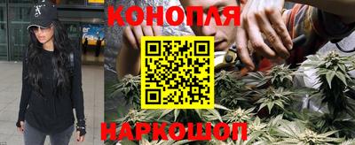 стафф Гагарин