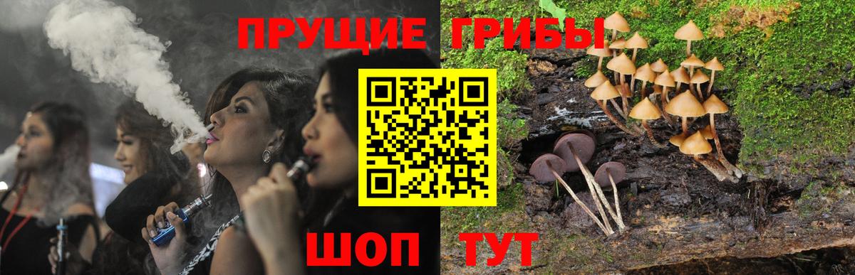 Галлюциногенные грибы Cubensis Майкоп