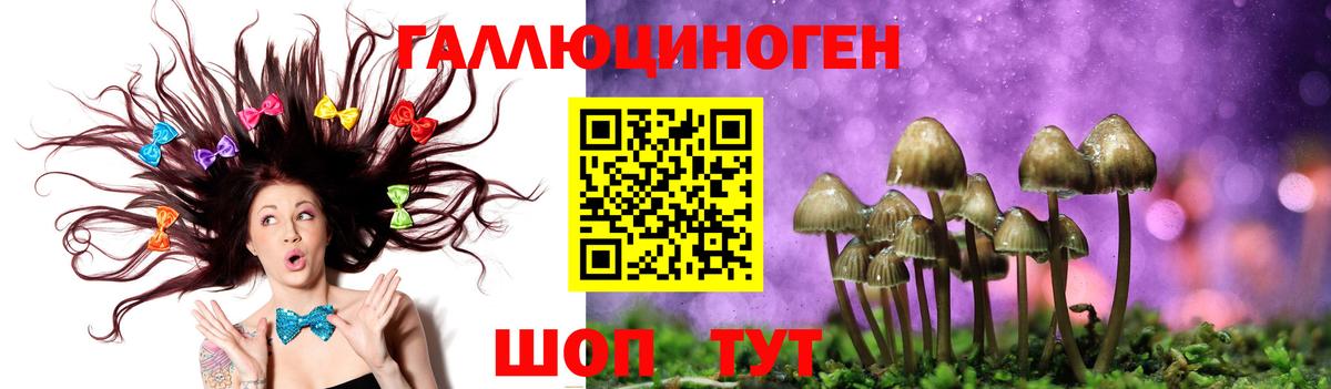 Майкоп  Псилоцибиновые грибы Magic Shrooms  Вход с VPN 